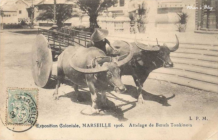 Triển lãm thuộc địa Marseille 1906 (4)