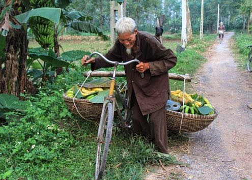 Nông sản an toàn và trái tim người Việt…