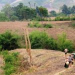 Đất tự khai hoang có được cấp giấy chứng nhận quyền sử dụng đất không?