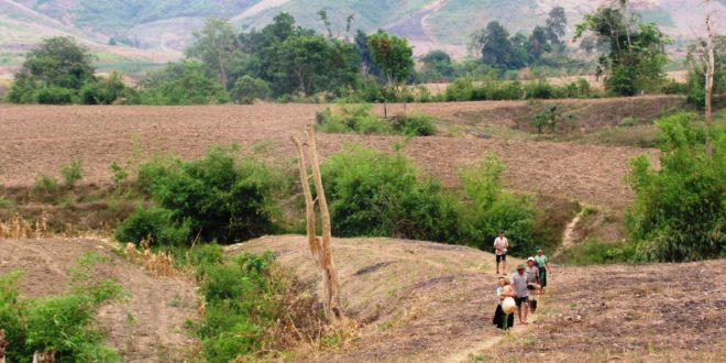 Đất tự khai hoang có được cấp giấy chứng nhận quyền sử dụng đất không?